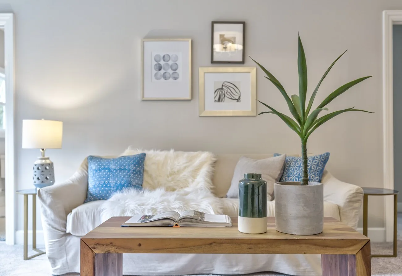 A staged Charlotte living room, styled and ready for photos